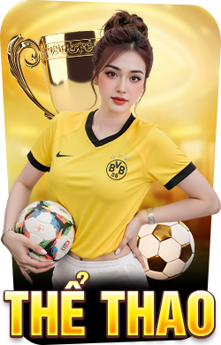 the-thao-v88